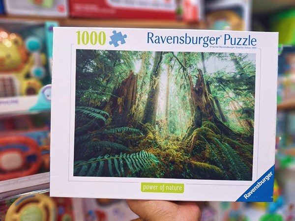 پازل 1000 قطعه راونزبرگر Ravensburger طرح جنگل افسون‌گر _لگو
