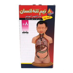 مولاژ نیم تنه انسان مدل عروسکی 8 قسمتی _اسباب بازی علمی