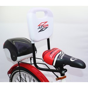 دوچرخه اورجینال کودک سایز 20 طرح دختر کفشدوزکی و گربه سیاه مدل جونیور JUNIOR_دوچرخه