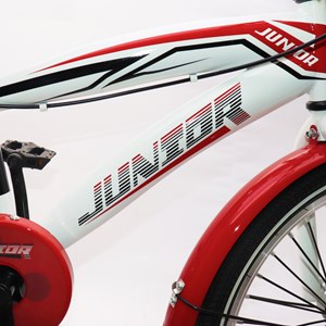 دوچرخه اورجینال کودک سایز 20 طرح دختر کفشدوزکی و گربه سیاه مدل جونیور JUNIOR_دوچرخه