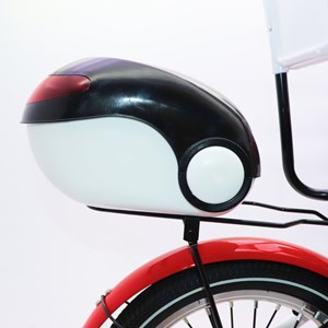 دوچرخه اورجینال کودک سایز 16 طرح دختر کفشدوزکی و گربه سیاه مدل جونیور JUNIOR_دوچرخه